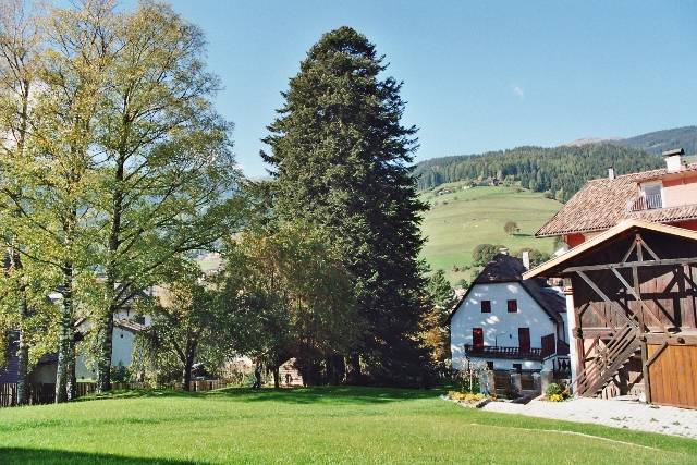 09.jpg